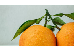 Vitamín C a kolagén: Tajomstvo mladej pleti, zdravých ciev a pevných kĺbov