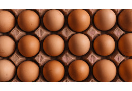 Vitamíny skupiny B: Kľúč k životnej energii, zdravému metabolizmu a výkonnému nervovému systému